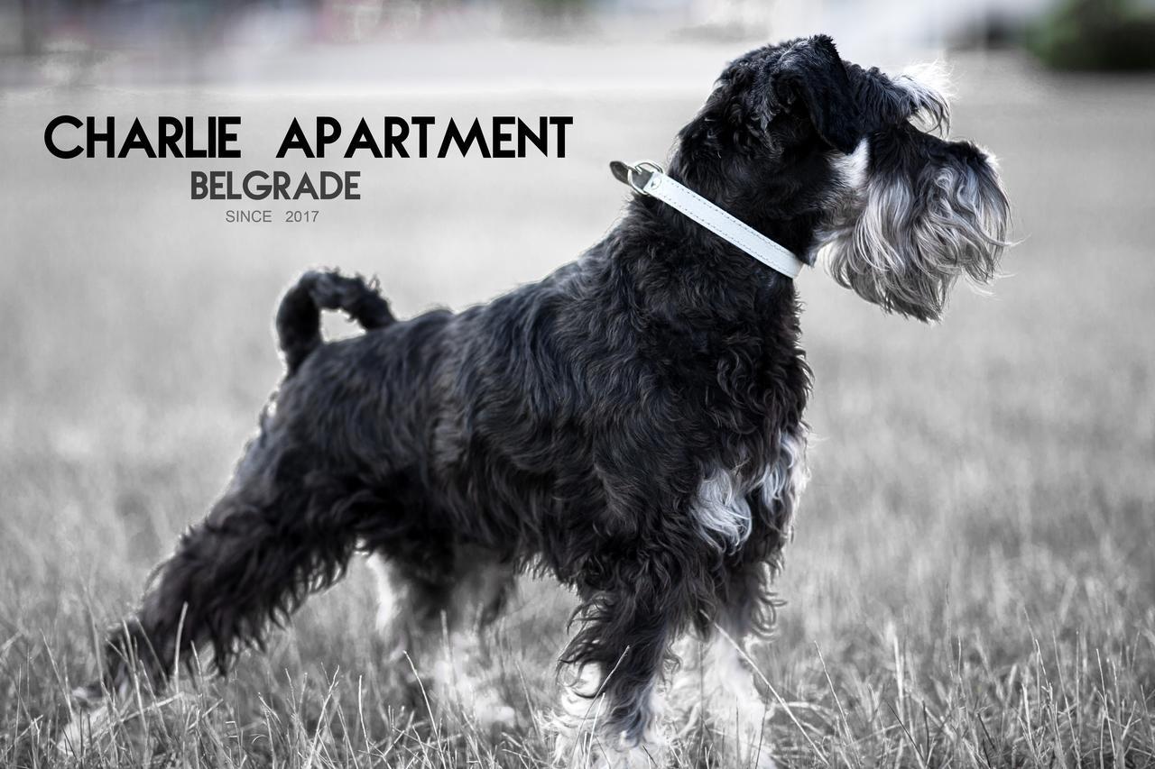 Apartment Charlie Perfect Price Белград Екстериор снимка